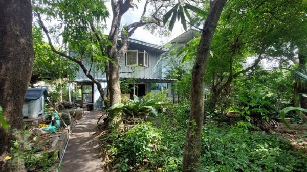 ���Թ�ҧ������