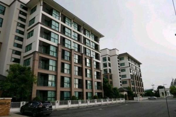 �͹� ��й��