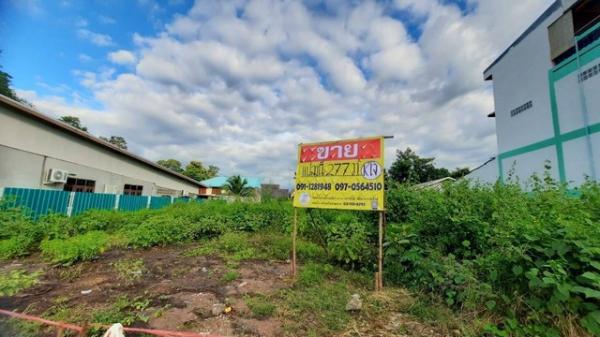 �͹�� �� zionasset1