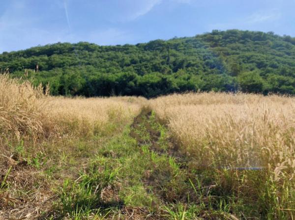 ���Թ 21 ���