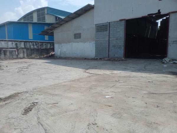 ���⡴ѧ ��������ا෾