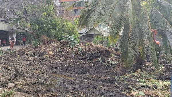 ที่ดิน BTS 50,000,000 บาท ที่ดิน BTS 50,000,000 บาท