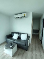 �͹� ������ԭ