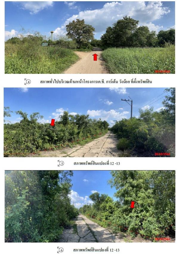 �ҧ���Թ �� compos2566