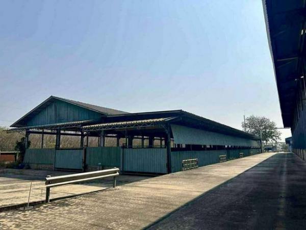 �Ԥ��Ѳ�� �� goodlada24