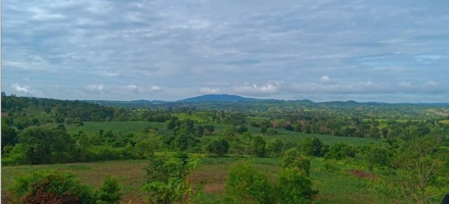 ��ҹ��´����آ