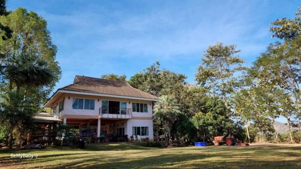 ��·��Թ 99,000,000 �ҷ