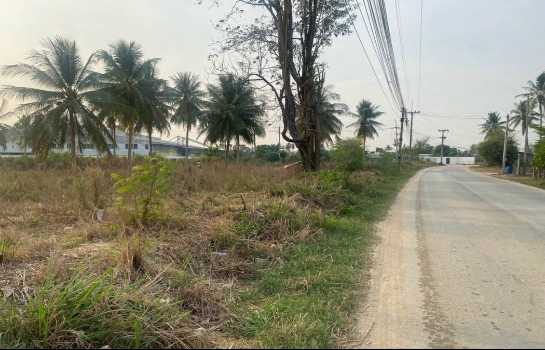 ที่ดิน 60 ไร่ ชลบุรี