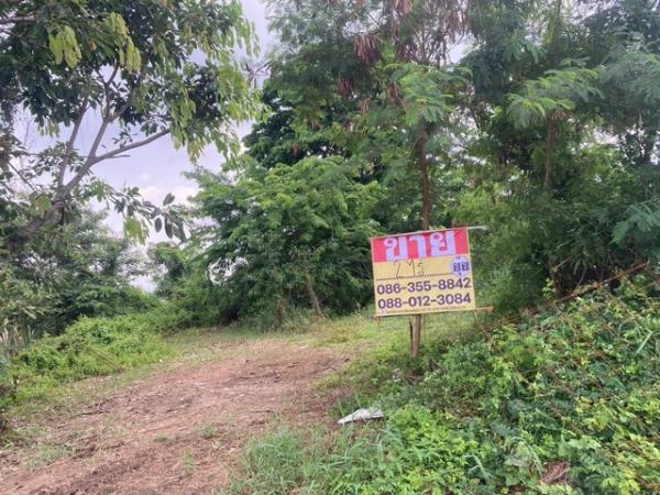 �����ҹ� �� zionasset1