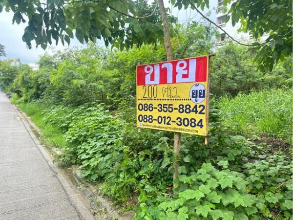 ��ѡ��� �� zionasset1