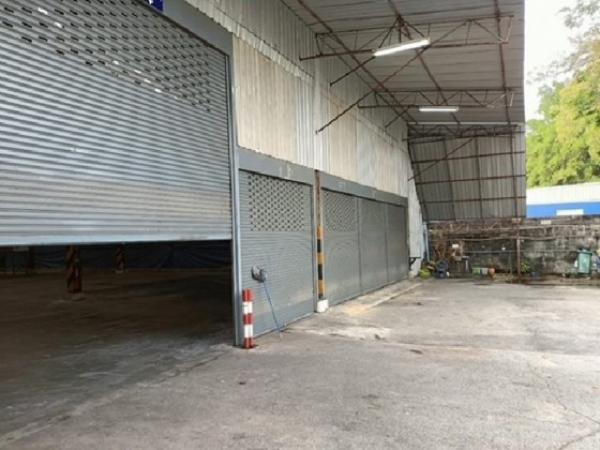 ��ѡ��� �� �س���¤��