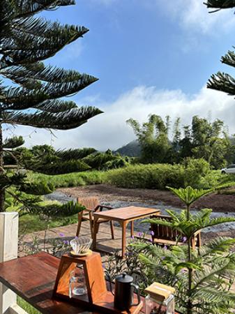 ��ҹ ��ҹ ����������