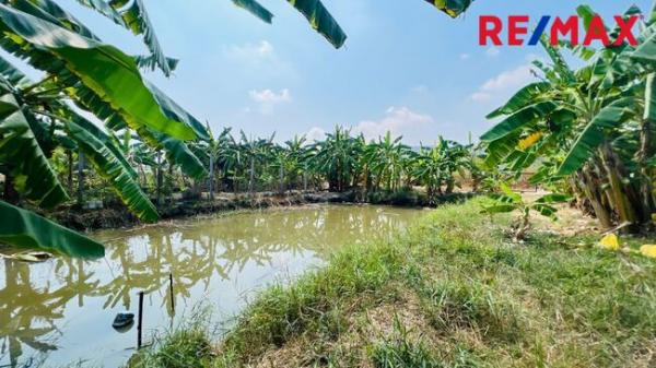 ��·��Թ �ҧ�͹