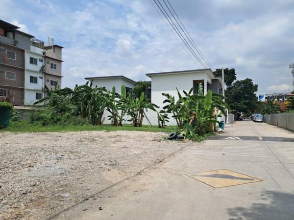 ที่ดิน ถนน: ที่ดิน ถนน: