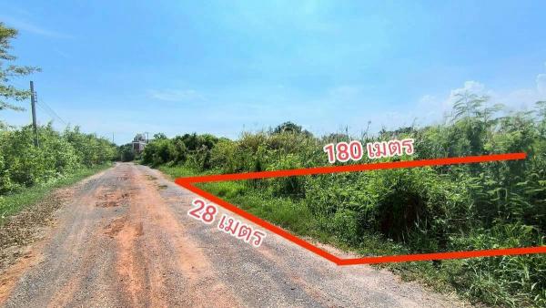 ��·��Թ �ҧ�͹