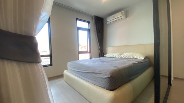 ��¤͹� �Թᴧ