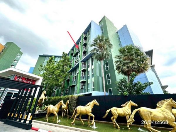 �͹ⴤѹ����� 33 ���ҧ����