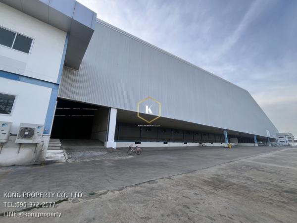 �ç�ҹ�ҧ��� �� Kong property