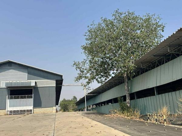 �Ԥ��Ѳ�� �� 1000property