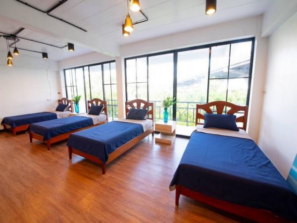 �Ҥ�þҳԪ�������� ���⢹���ا෾