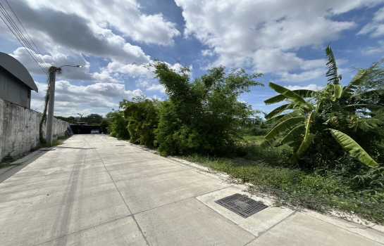 �ҧ��� �� Asset X Property