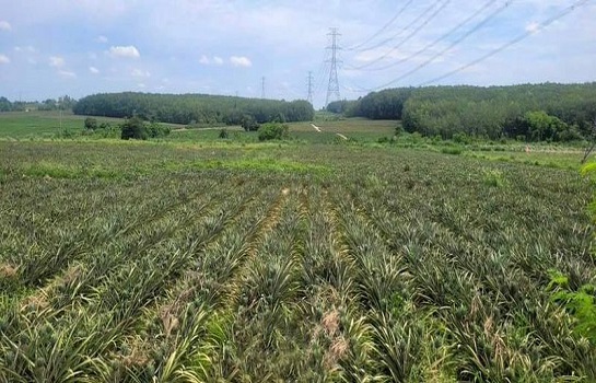 �ź��� �� A House property