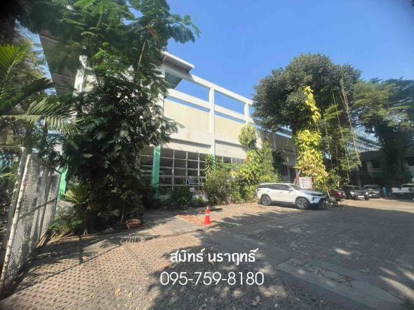 ��·��Թ ������