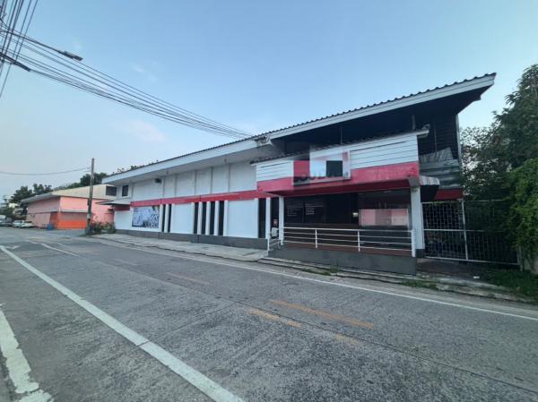 ⡴ѧ������ �� naorinpl