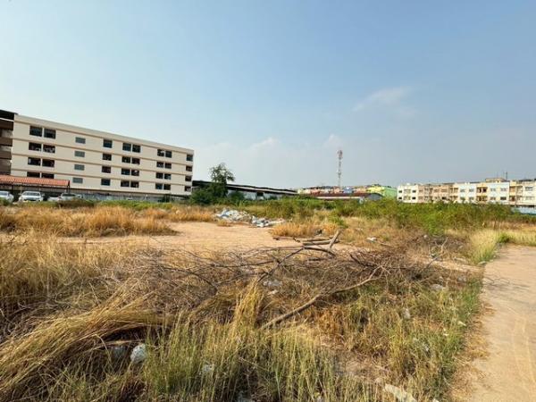 ��ط��Ҥ� �� amaraphat78