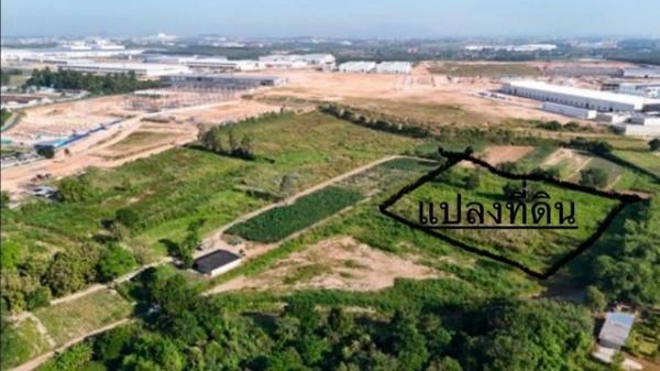 �Ԥ��Ѳ�� �� goodlada24