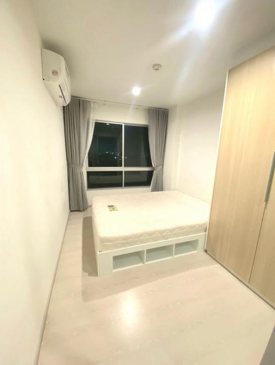 ��¤͹� �٤� �����ҹ�