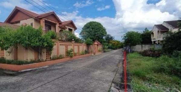 ��·��Թbts���