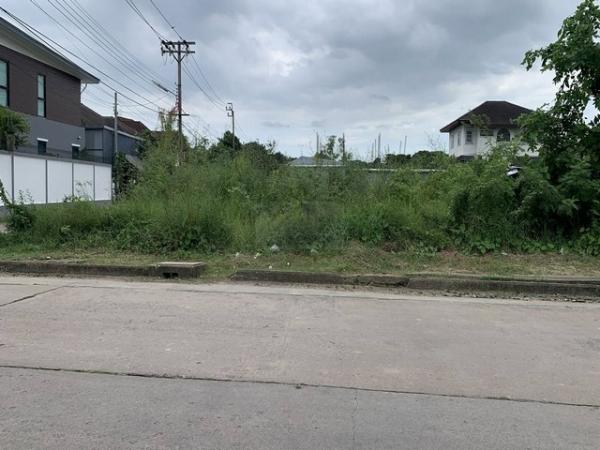 ��¡�ا෾ �� asangha PL