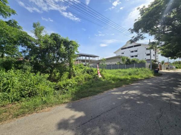 �����ҹ� �� danoiestate