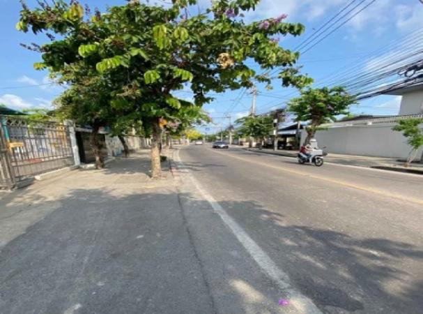 �ӹѡ�ҹ������ ������ԭ