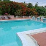 ���Թ ���ͧ�ҹ