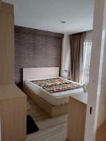 ��¤͹� ���ͧ