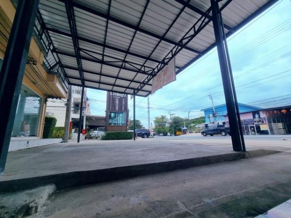 �Ҥ�þҳԪ�������� �ҧ��Ƿͧ�������