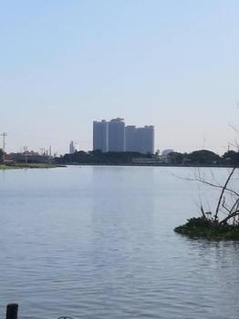 ������� �� incube