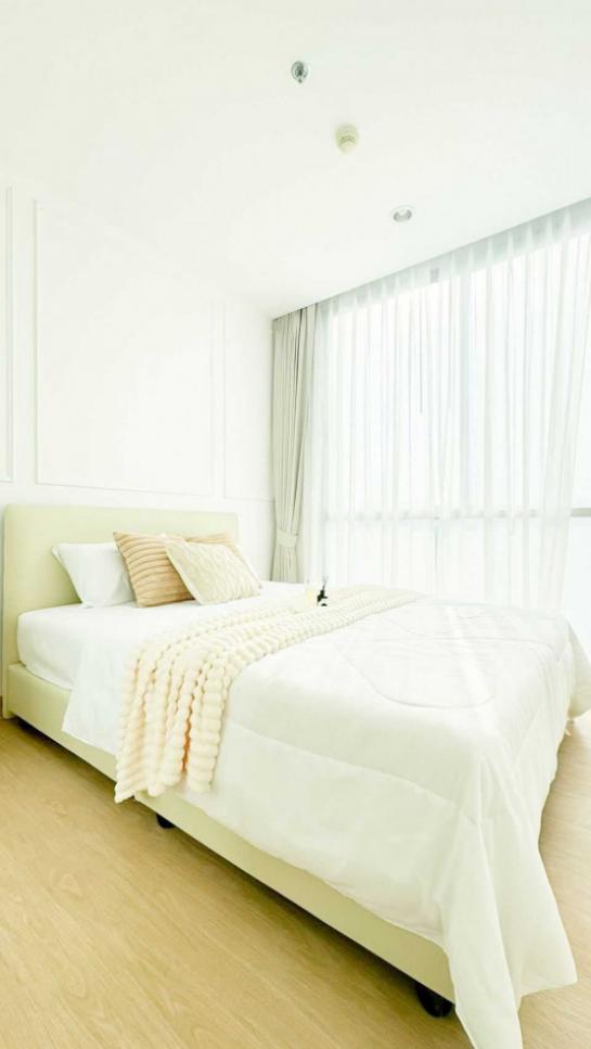 �ҧ�л� �� Asset X Property