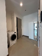 ������ �͹� 61 ���ҧ����