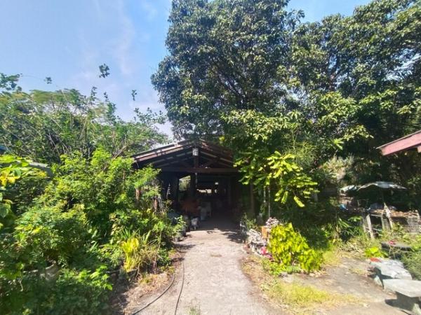 �����ԡ�