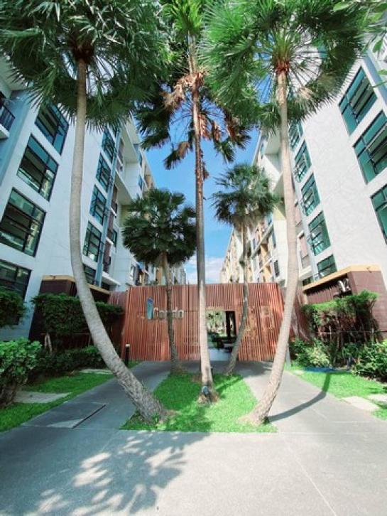 �͹ⴺҧ�� �� amaraphat78