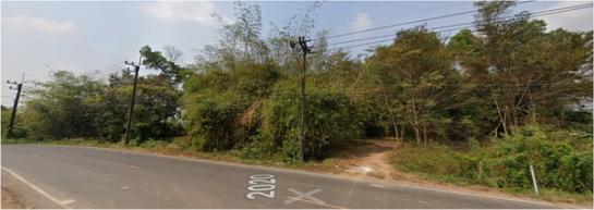 ���Թ 13 ���