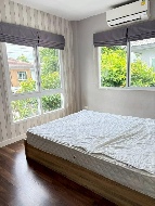 ������ ��ҹ 52 ���ҧ��