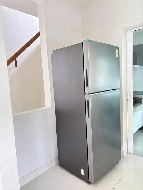 �����Һ�ҹ �ѹ��ᾧ ��§����