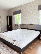 ��ҹ �ѹ��ᾧ 52 ���ҧ��