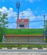 ������⡴ѧ �Ҥһ�С�������� 31,998 �ҷ/��͹