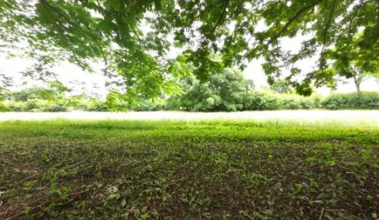 ���Թ sukhumvit