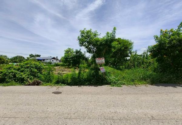 ���� �� Baan Bangkok Broker